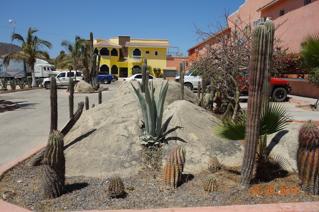 Oasis Los Cabos Hotel Cabo San Lucas Buitenkant foto